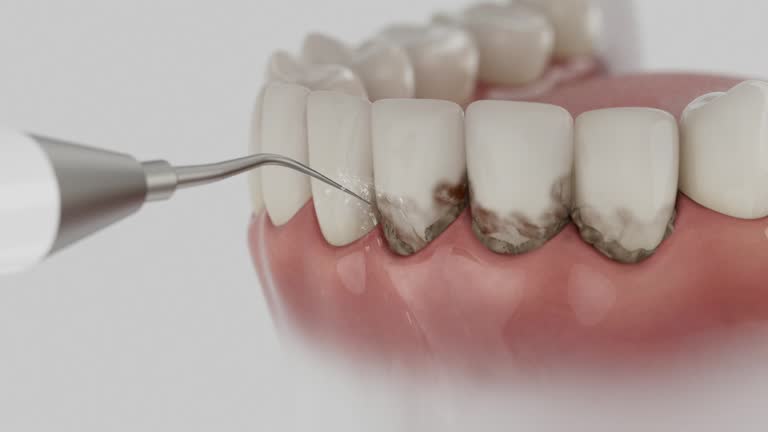 Reliable Dental contractor in Summerville, SC by Dentist Open Now